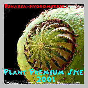 PlantPremiumSite AWARD