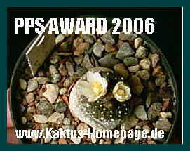 6. PlantPremiumSite AWARD 2006