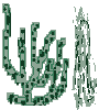 Tilansien + Wurzellose