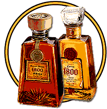 Cocktail Absolute-Tequila