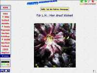 Startseite der Kaktus-Homepage vom AUGUST 2001
