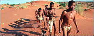 Kalahari bushmen