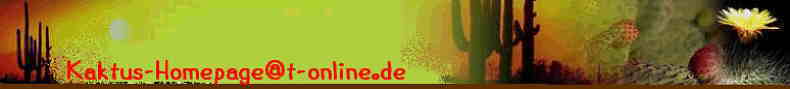 Unteres Kaktus-Homepage Banner